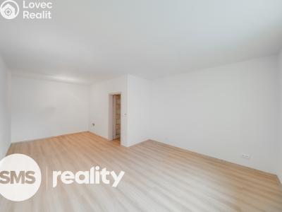 Продажа квартиры 1+KK Nový Jičín, Palackého č. 1