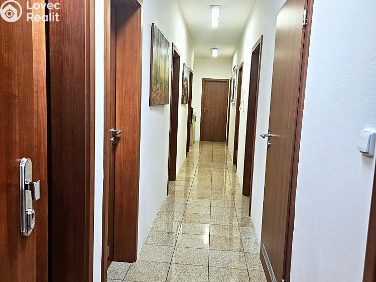 Rent office space Brno, Vídeňská č. 10