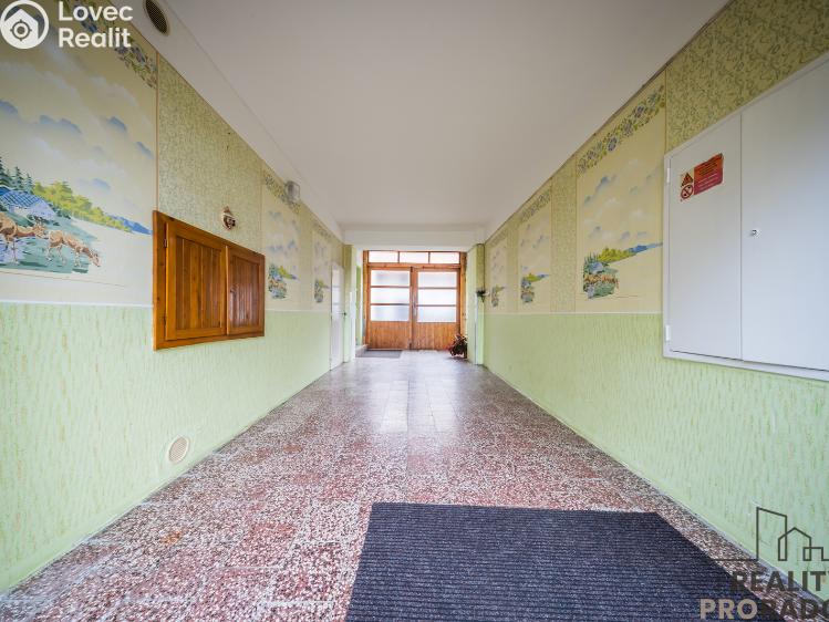 Продажа многогенного дом Klobouky u Brna č. 15