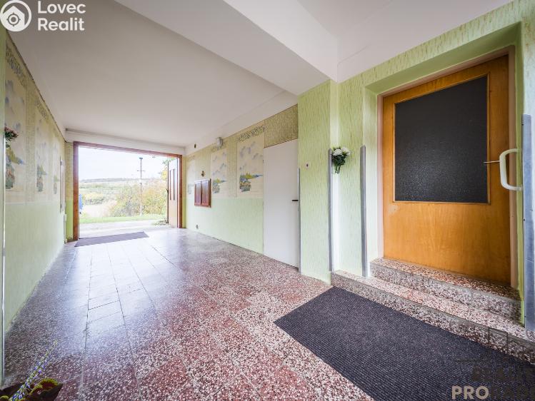 Продажа многогенного дом Klobouky u Brna č. 16