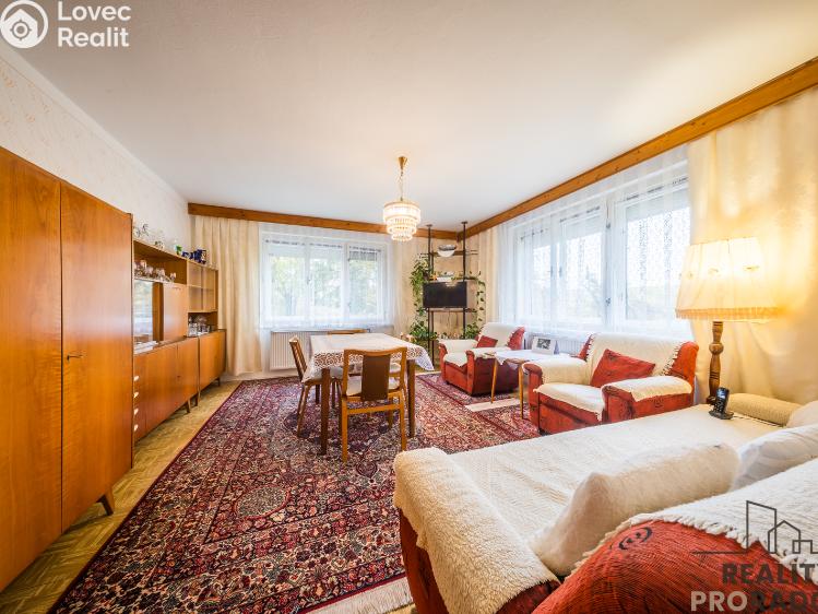 Продажа многогенного дом Klobouky u Brna č. 24