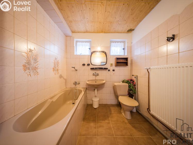 Продажа многогенного дом Klobouky u Brna č. 41