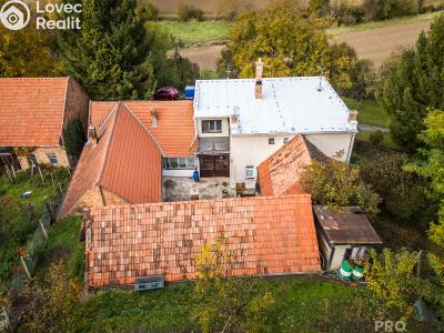 Продажа многогенного дом Klobouky u Brna č. 6