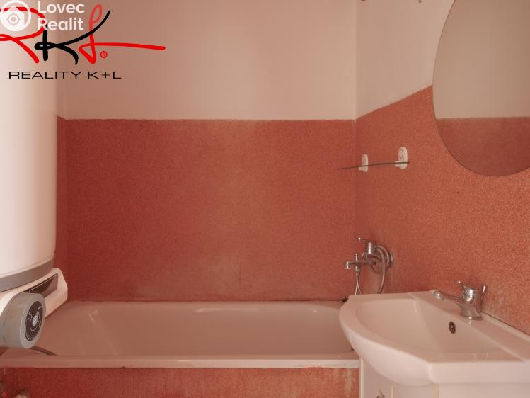 Prodej bytu 2+1 Roudnice nad Labem, Alej 17. listopadu č. 9