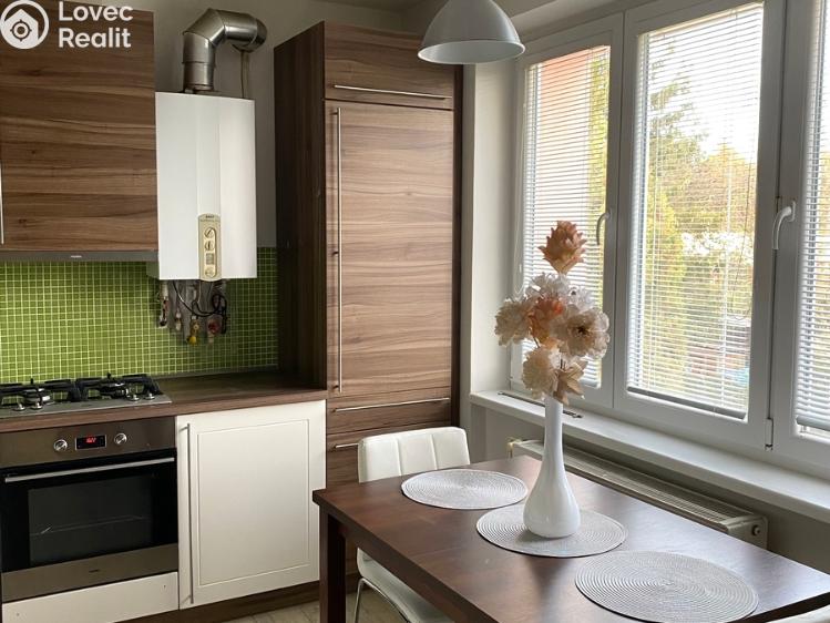 Pronájem bytu 3+1 Vyškov, Luční č. 3