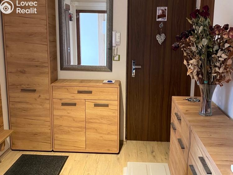 Pronájem bytu 3+1 Vyškov, Luční č. 7