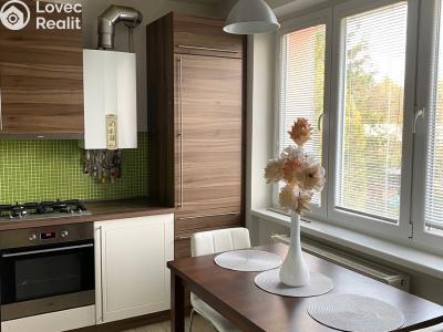 Аренда квартиры 3+1 Vyškov, Luční č. 3