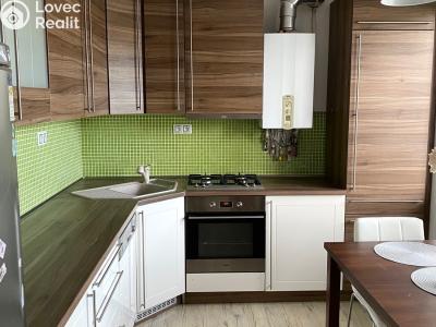 Rent apartment 3+1 Vyškov, Luční č. 2
