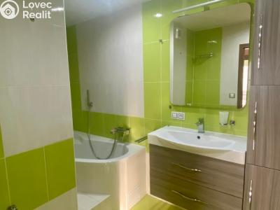 Rent apartment 3+1 Vyškov, Luční č. 6