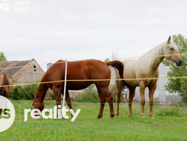Prodej rodinného domu Tvořihráz č. 21