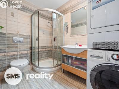 Продаж сімейного будинку Tvořihráz č. 20