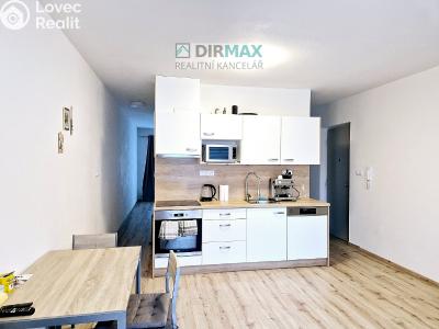 Pronájem bytu 2+KK Plzeň, Resslova č. 1