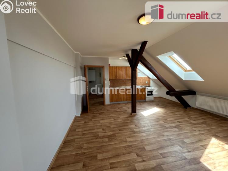 Pronájem bytu 1+KK Kolín, Ovčárecká č. 1