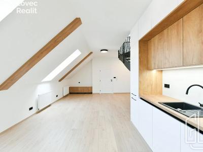 Rent apartment 4+KK Praha, Bartoškova č. 4