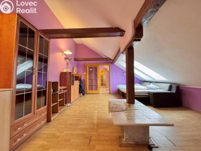 Rent apartment 3+KK Praha, Milady Horákové č. 1