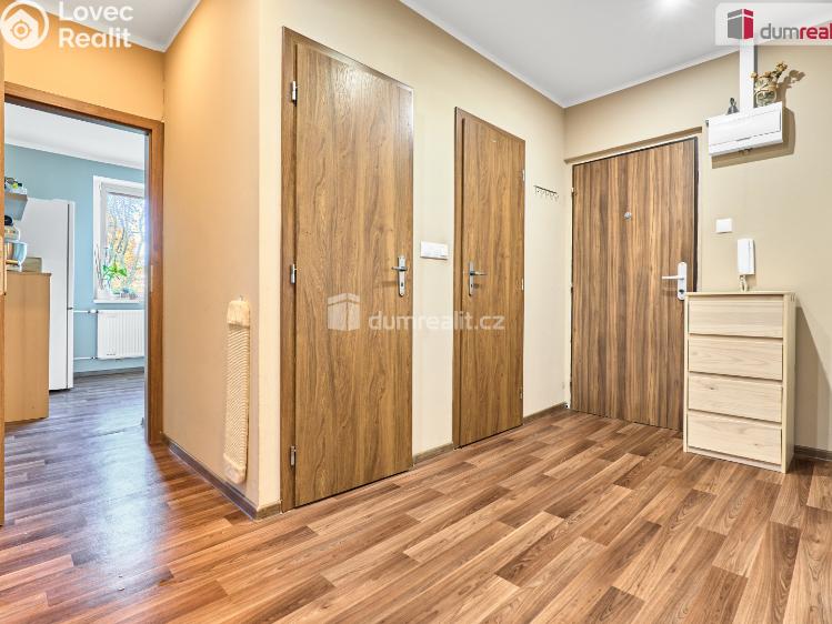 Prodej bytu 3+1 Ostrov, Lidická č. 14
