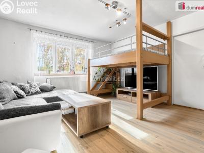 Sale apartment 2+1 Lubenec, Karlovarská č. 5