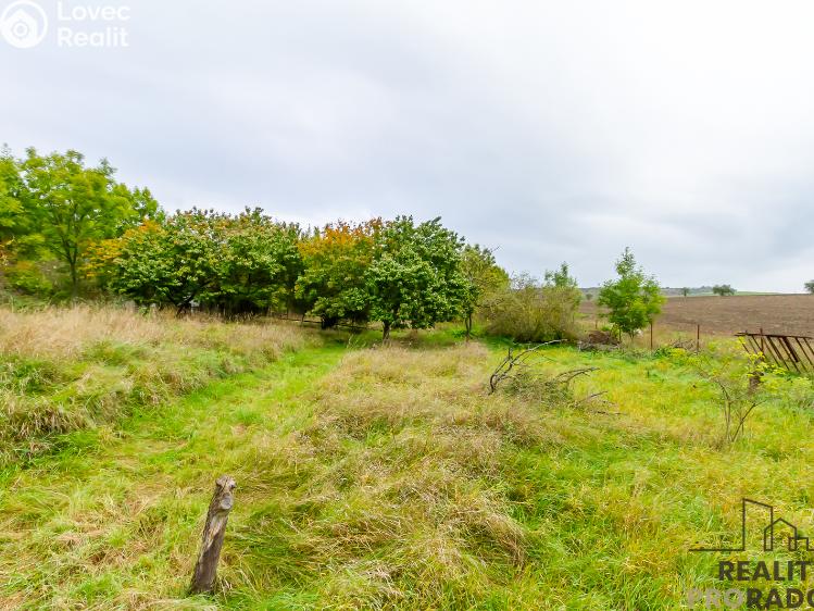 Sale family house Polepy č. 11