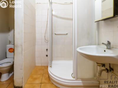 Продаж сімейного будинку Polepy č. 6