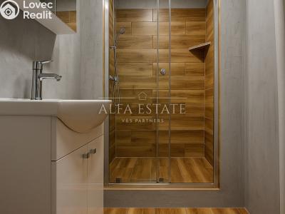 Prodej bytu 1+1 Habartov, Mírová č. 6