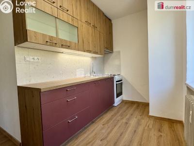 Pronájem bytu 2+1 Uherské Hradiště, Tůně č. 2