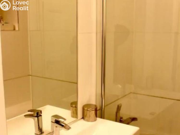 Pronájem bytu 3+KK Praha, Kubelíkova č. 9