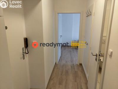 Pronájem bytu 2+1 Hodonín, Březinova č. 5