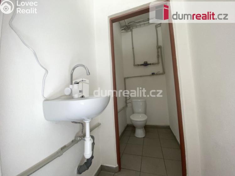 Pronájem výrobní haly Dolní Dunajovice, Mlýnská č. 6
