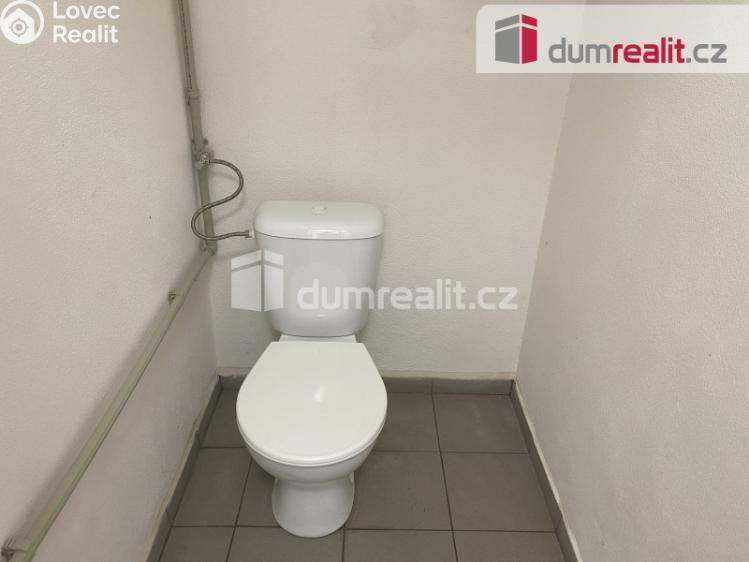 Pronájem výrobní haly Dolní Dunajovice, Mlýnská č. 7