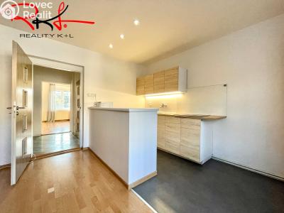 Rent apartment 3+KK Mladá Boleslav, Ptácká č. 2