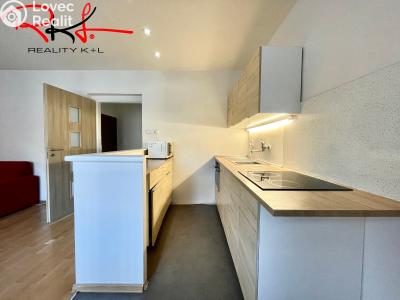 Rent apartment 3+KK Mladá Boleslav, Ptácká č. 4