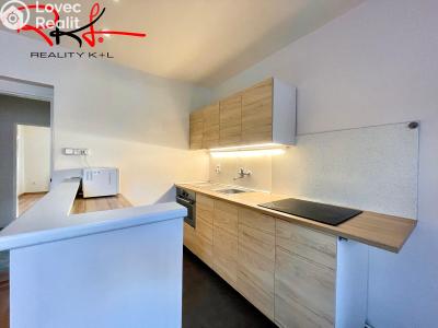 Rent apartment 3+KK Mladá Boleslav, Ptácká č. 5