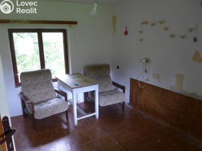 Sale hut Horní Planá č. 6