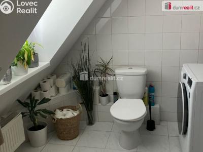 Rent apartment 5+KK Opava, Polní č. 5