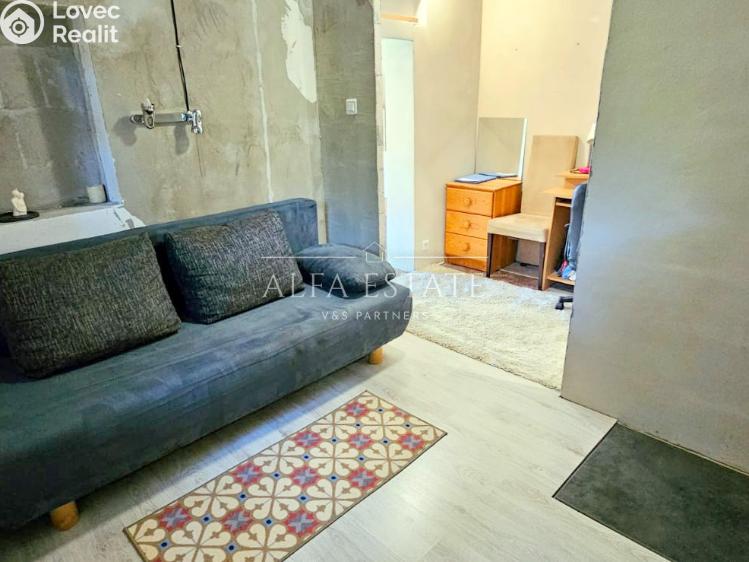 Prodej chaty Ostrov č. 14