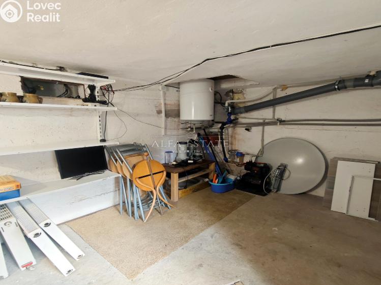 Prodej chaty Ostrov č. 21