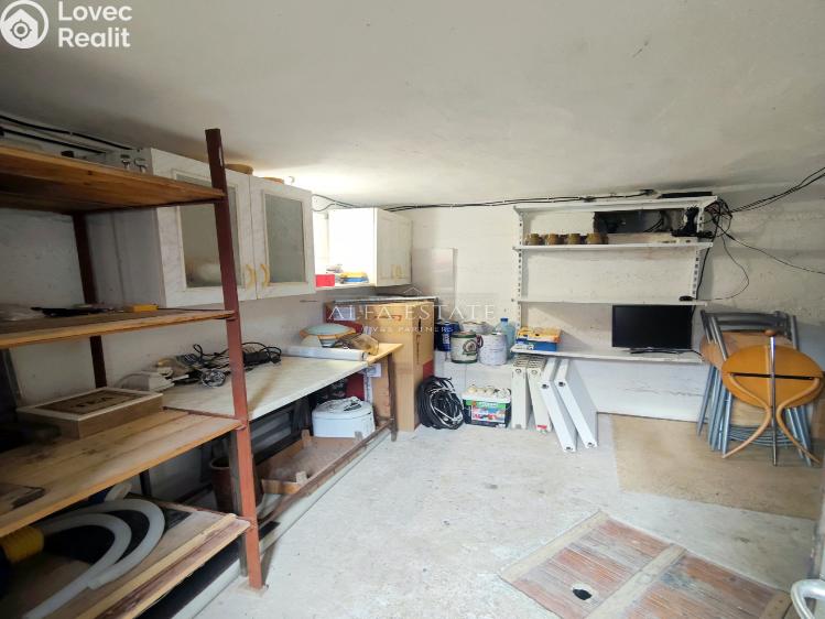 Prodej chaty Ostrov č. 22