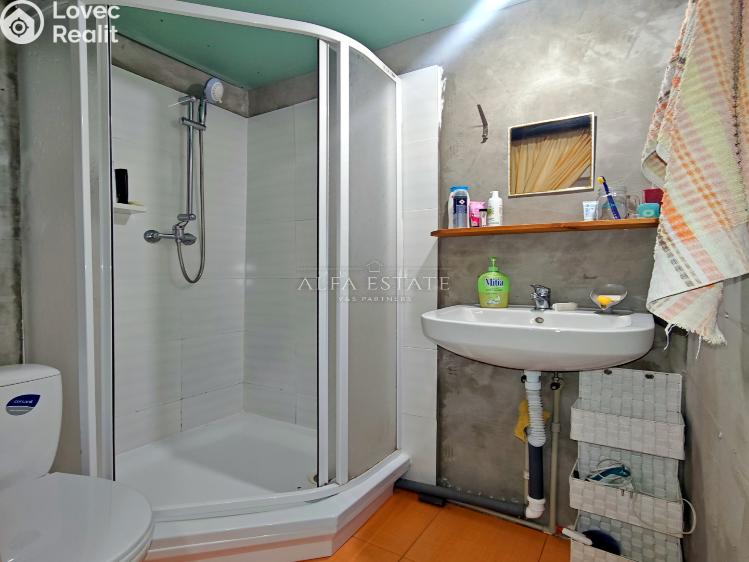 Prodej chaty Ostrov č. 25