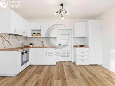 Prodej bytu 4+KK Mladá Boleslav, mjr. Frymla č. 4