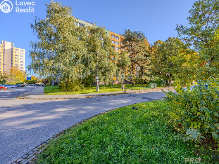 Sale apartment 1+1 Ostrava, Ahepjukova č. 18