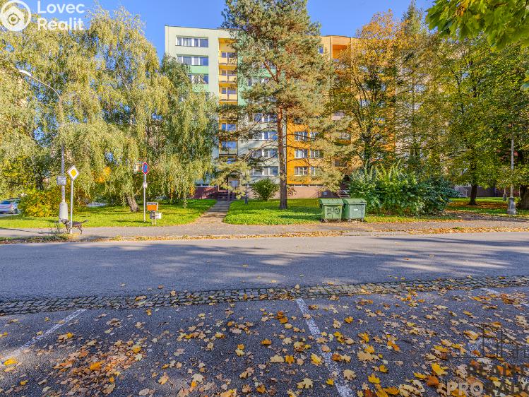 Sale apartment 1+1 Ostrava, Ahepjukova č. 19