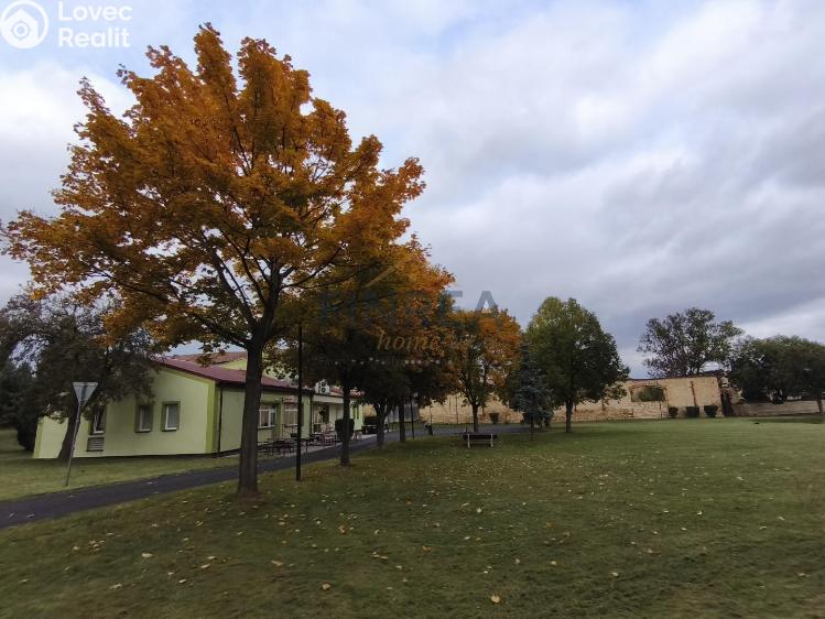 Prodej rodinného domu Výškov č. 28