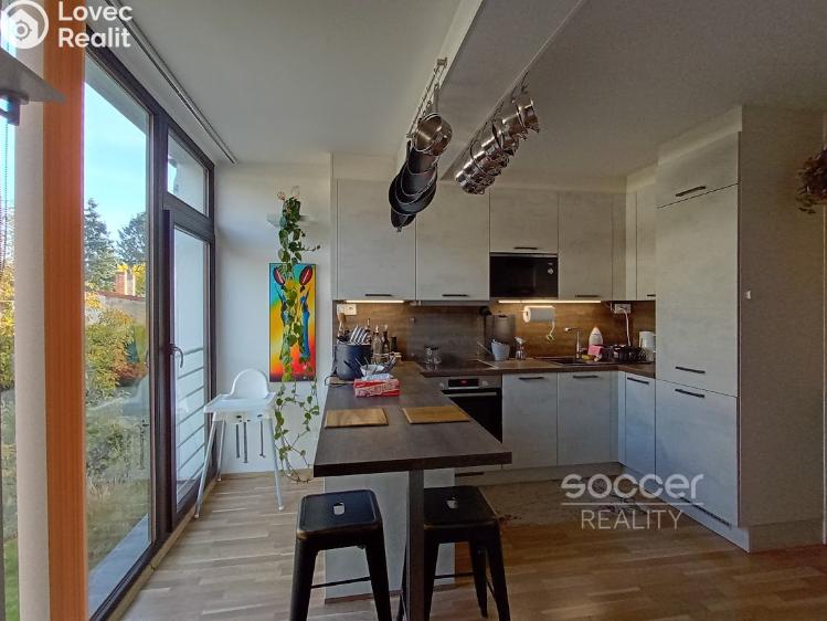 Rent apartment 3+KK Praha, Nad motolskou nemocnicí č. 1