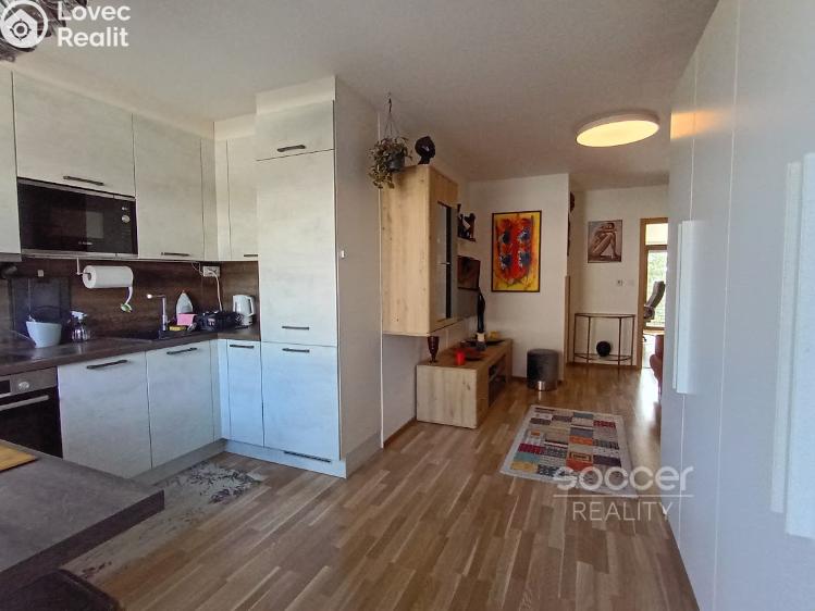 Rent apartment 3+KK Praha, Nad motolskou nemocnicí č. 6
