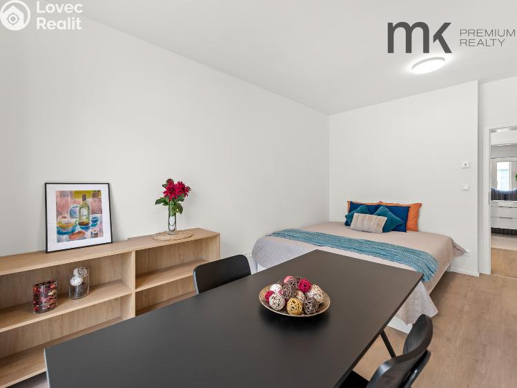 Pronájem bytu 1+1 Praha, Na bitevní pláni č. 15