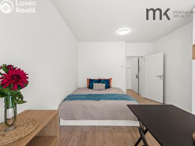 Pronájem bytu 1+1 Praha, Na bitevní pláni č. 1