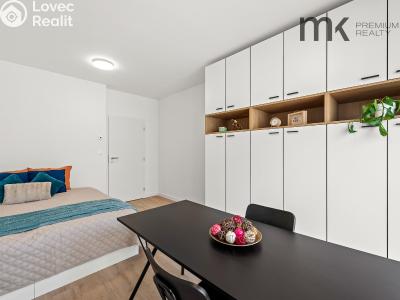 Pronájem bytu 1+1 Praha, Na bitevní pláni č. 2