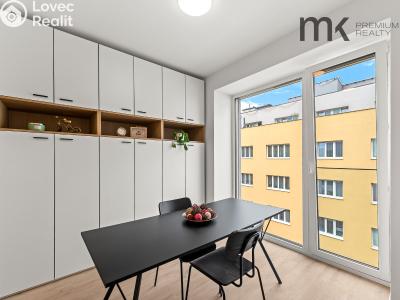 Pronájem bytu 1+1 Praha, Na bitevní pláni č. 4