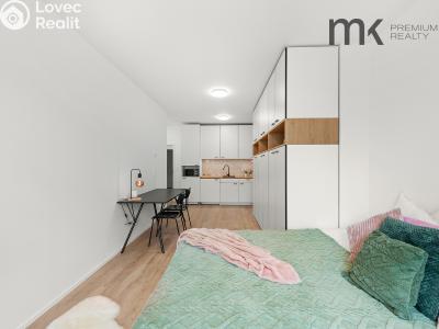 Оренда квартири 1+KK Praha, Na bitevní pláni č. 5