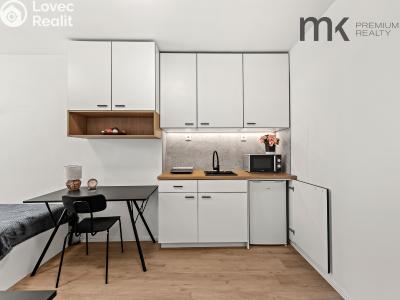 Pronájem bytu 1+KK Praha, Na bitevní pláni č. 5